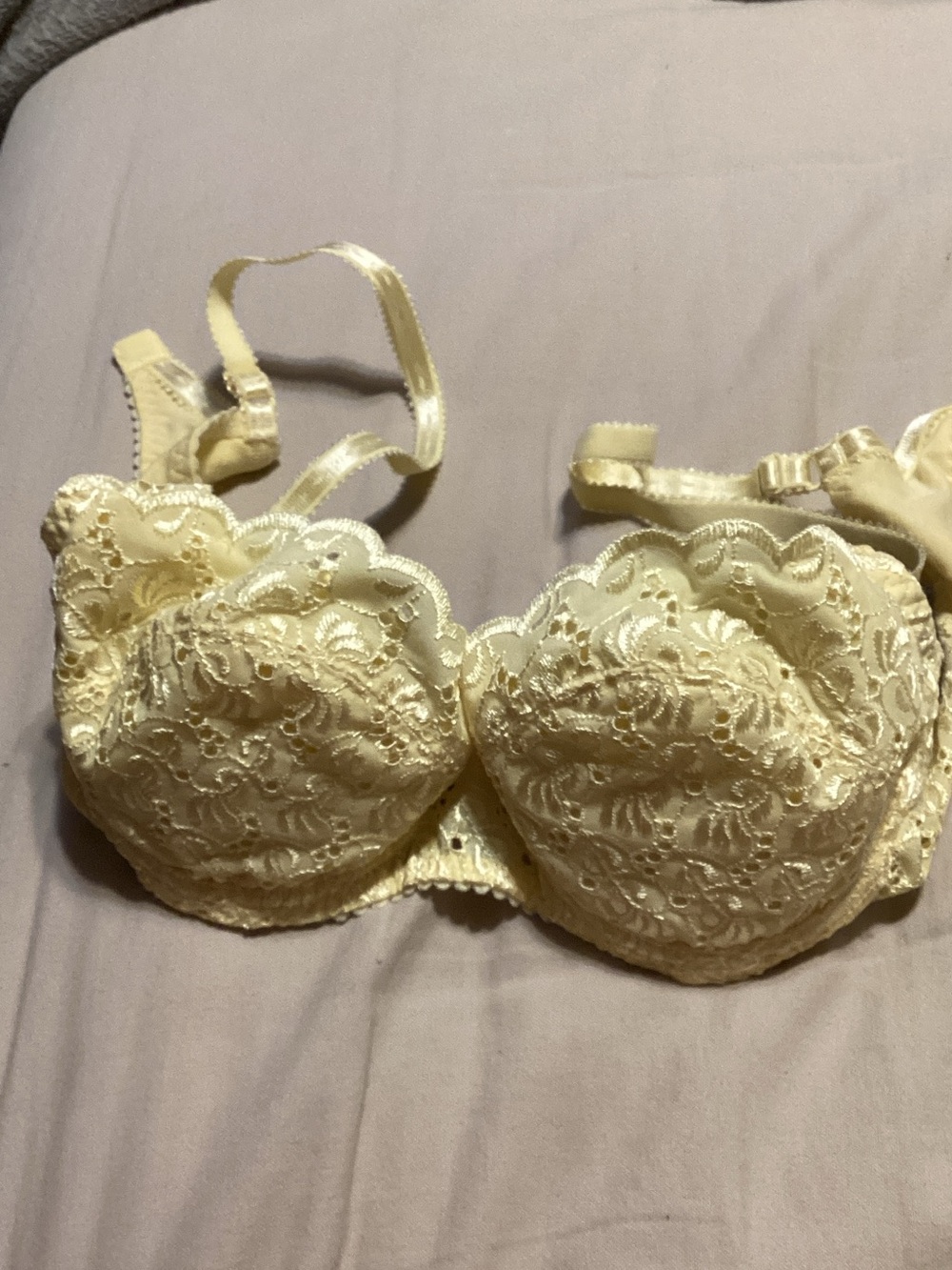 Delicates Lace Underwire Bra